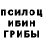 Псилоцибиновые грибы Cubensis Borzz AbaiYT