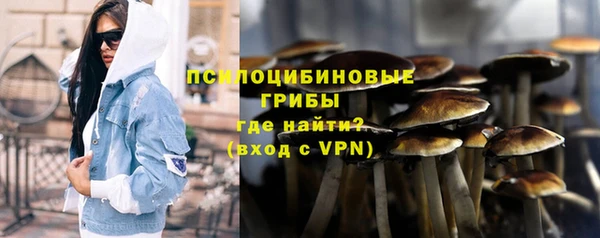 тгк Володарск