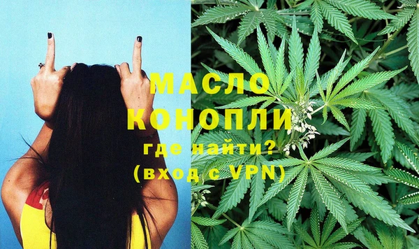 тгк Володарск