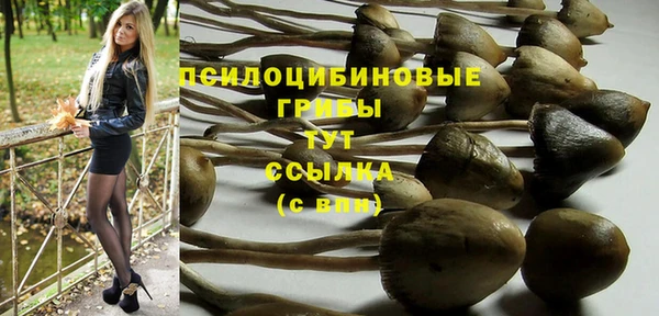 тгк Володарск