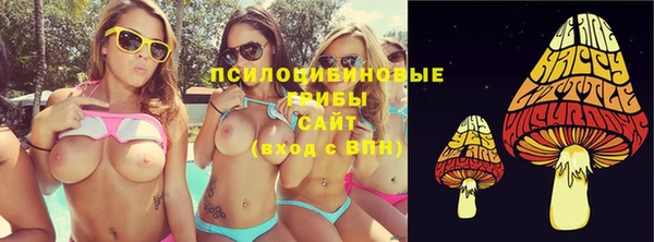 тгк Володарск