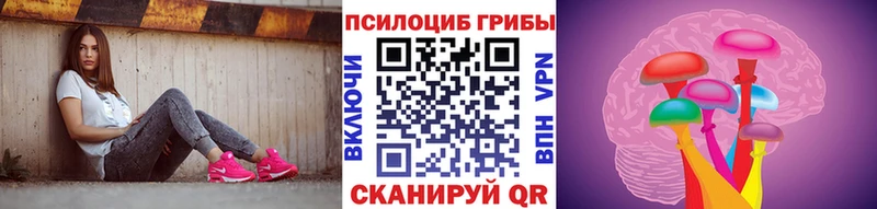 где найти   Электросталь  Галлюциногенные грибы мицелий 